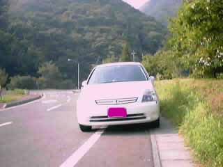 I県の山中で撮影