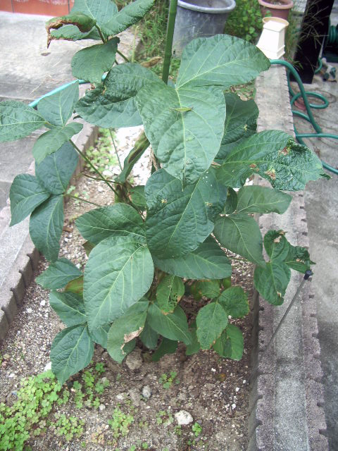 20101024撮影