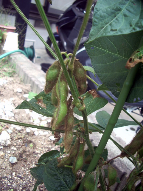 2010年10月24日撮影