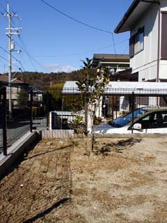 金木犀20011230